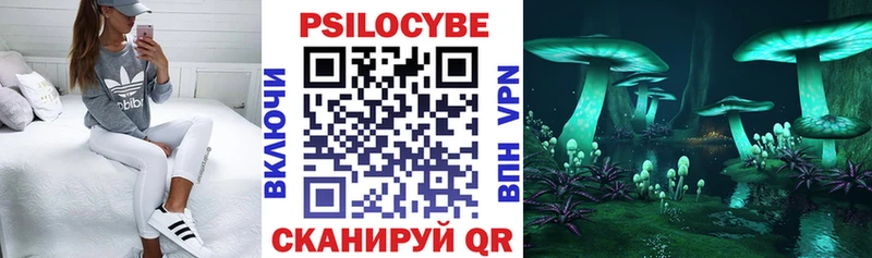 Галлюциногенные грибы прущие грибы  darknet телеграм  mega как войти  Карабаш  цены  